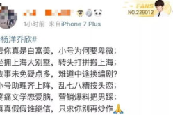 吃瓜小说娱乐圈番茄小说,番茄小说中的吃瓜传奇