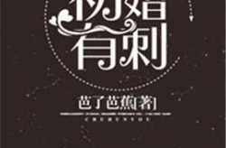 初婚有刺小说全集免费阅读,全集免费阅读，揭开情感纠葛的神秘面纱