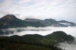 高州旅游,探寻岭南古郡的自然风光与历史文化