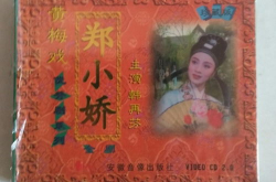 黄梅戏电视剧郑小娇,黄梅戏中的爱情传奇