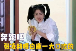娱乐吃瓜酱白鹿,娱乐圈风云变幻中的璀璨星辰