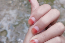 染指甲的花叫什么名字,凤仙花的美丽与魅力”