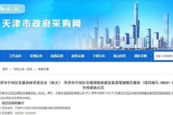 天津招标网,项目招标信息汇总与解读
