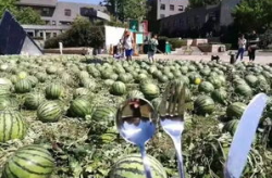 人人吃瓜网 朝阳群众聚集地,人人吃瓜网揭秘京城热点聚集地